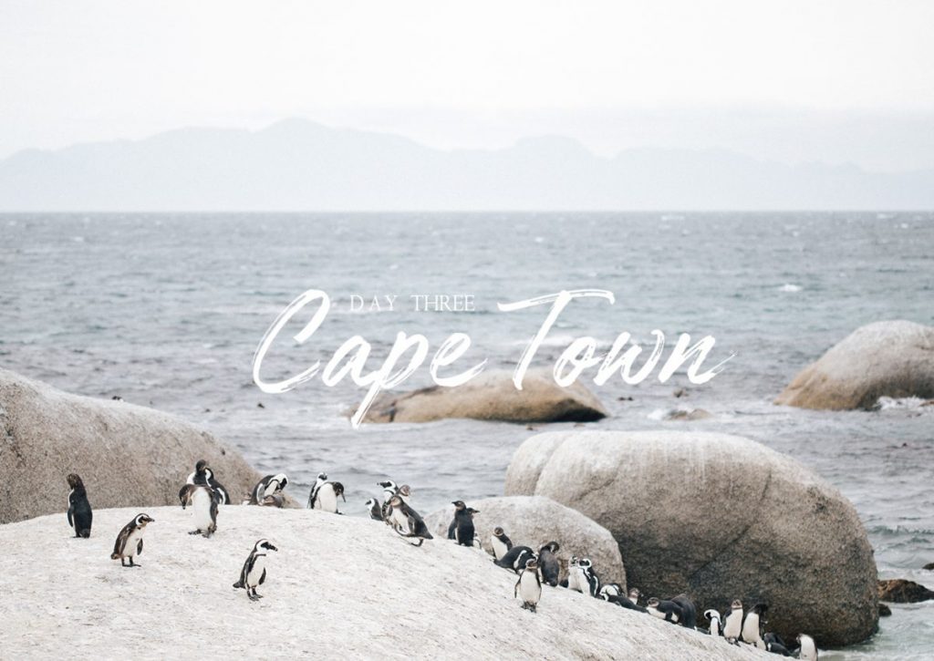 Cape Town Boulders beach manchots Afrique du sud