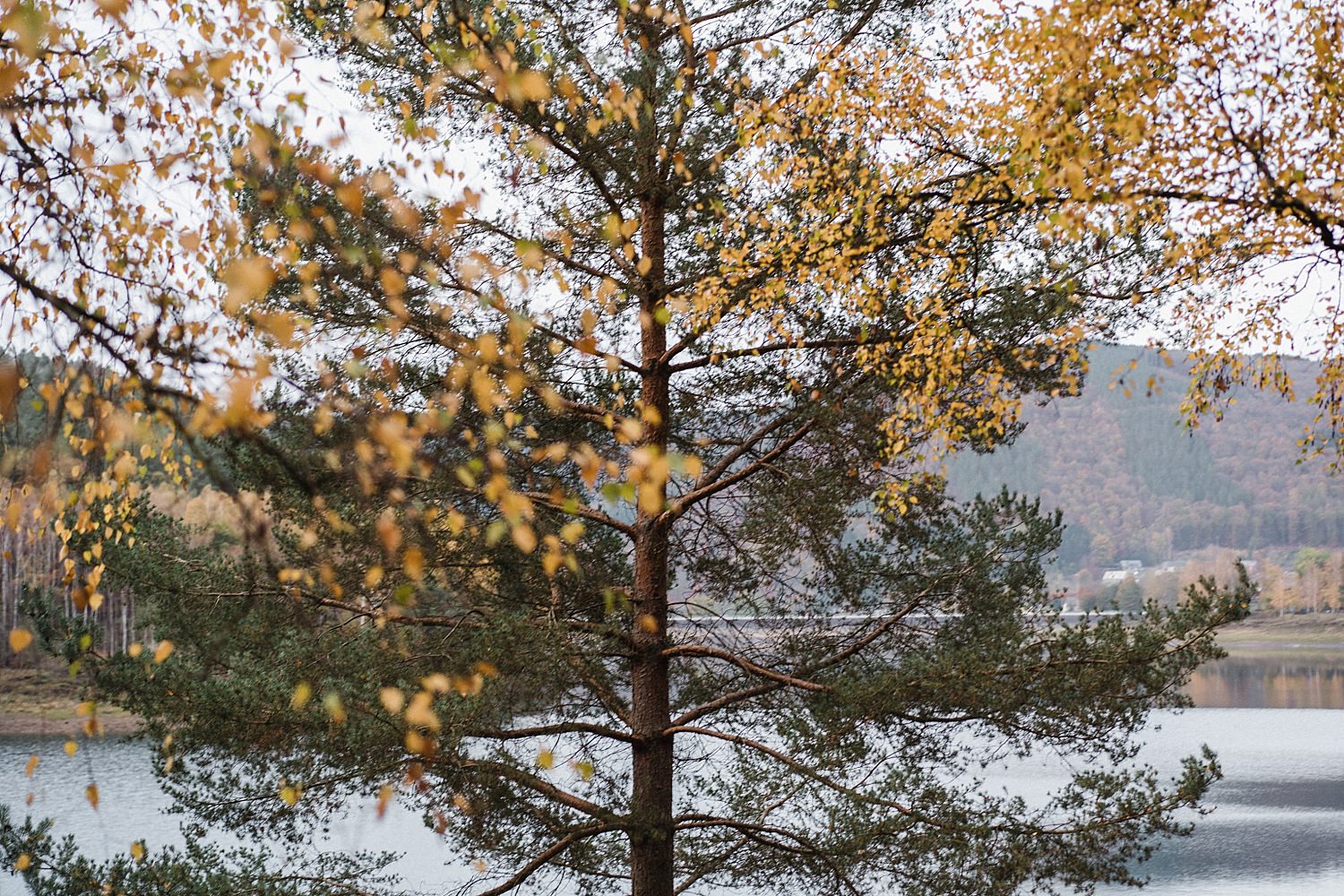 Coo lac cascade Totemus randonnée en famille