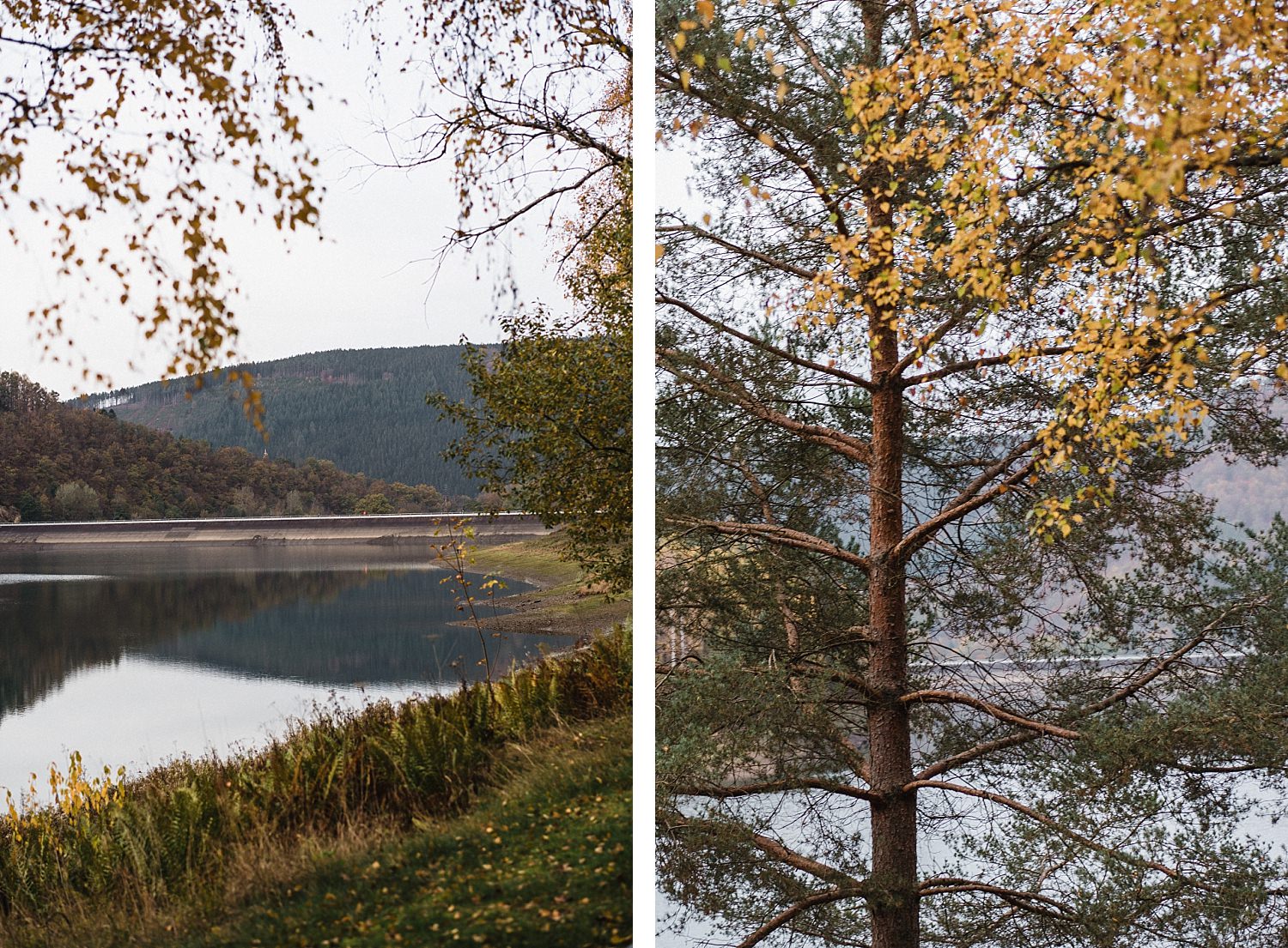 Coo lac cascade Totemus randonnée en famille