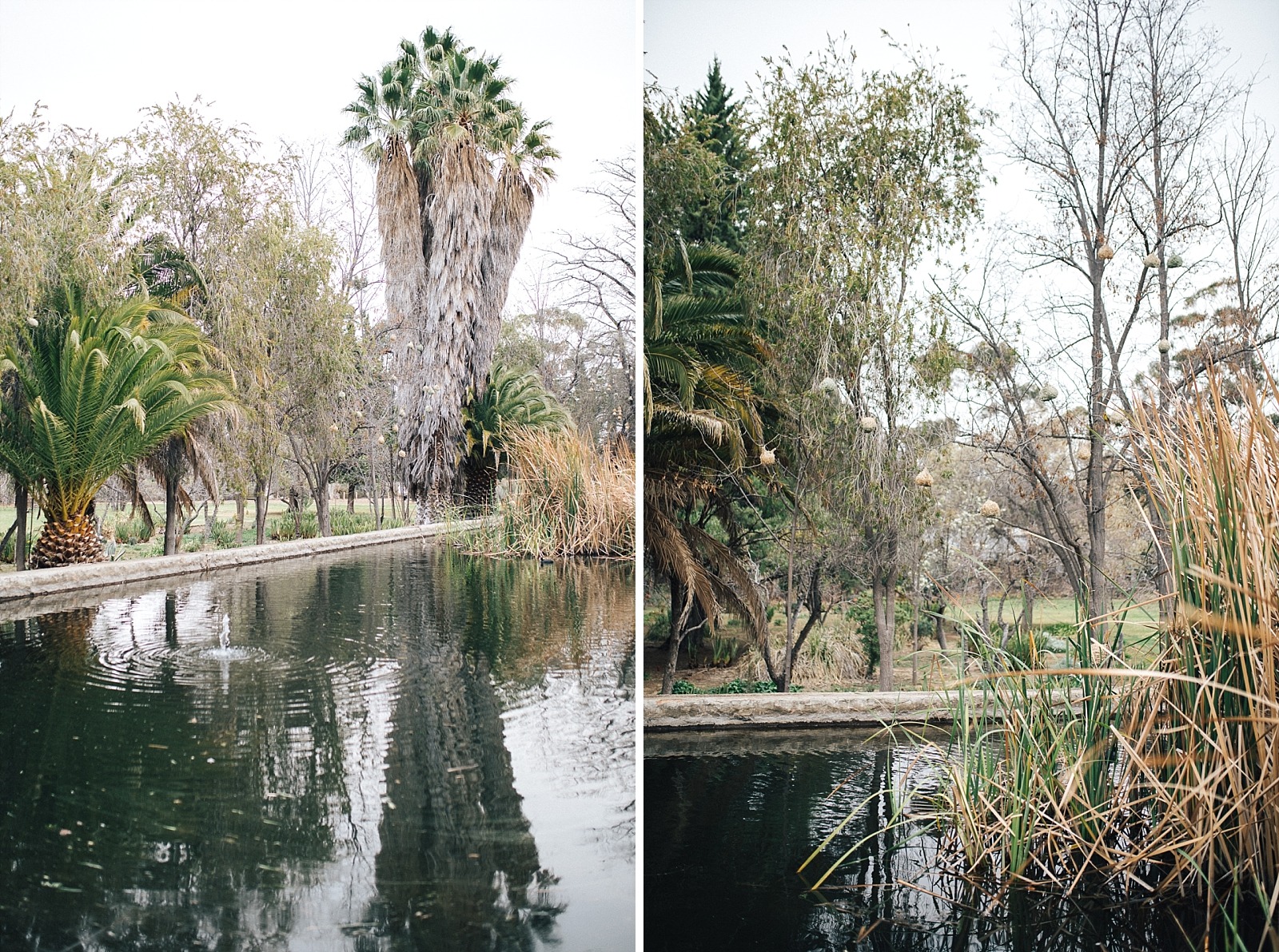 Maatjesfonteijn Karoo Afrique du sud Cape town  Lord Milner Hotel