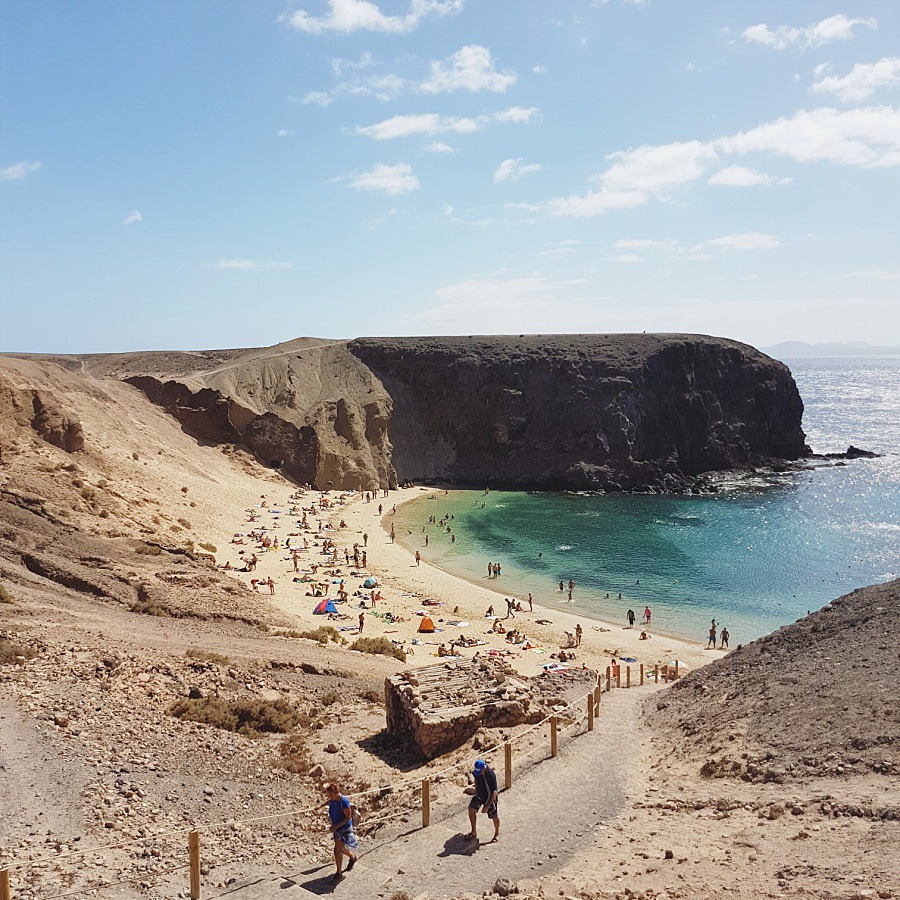 lanzarote papagayo