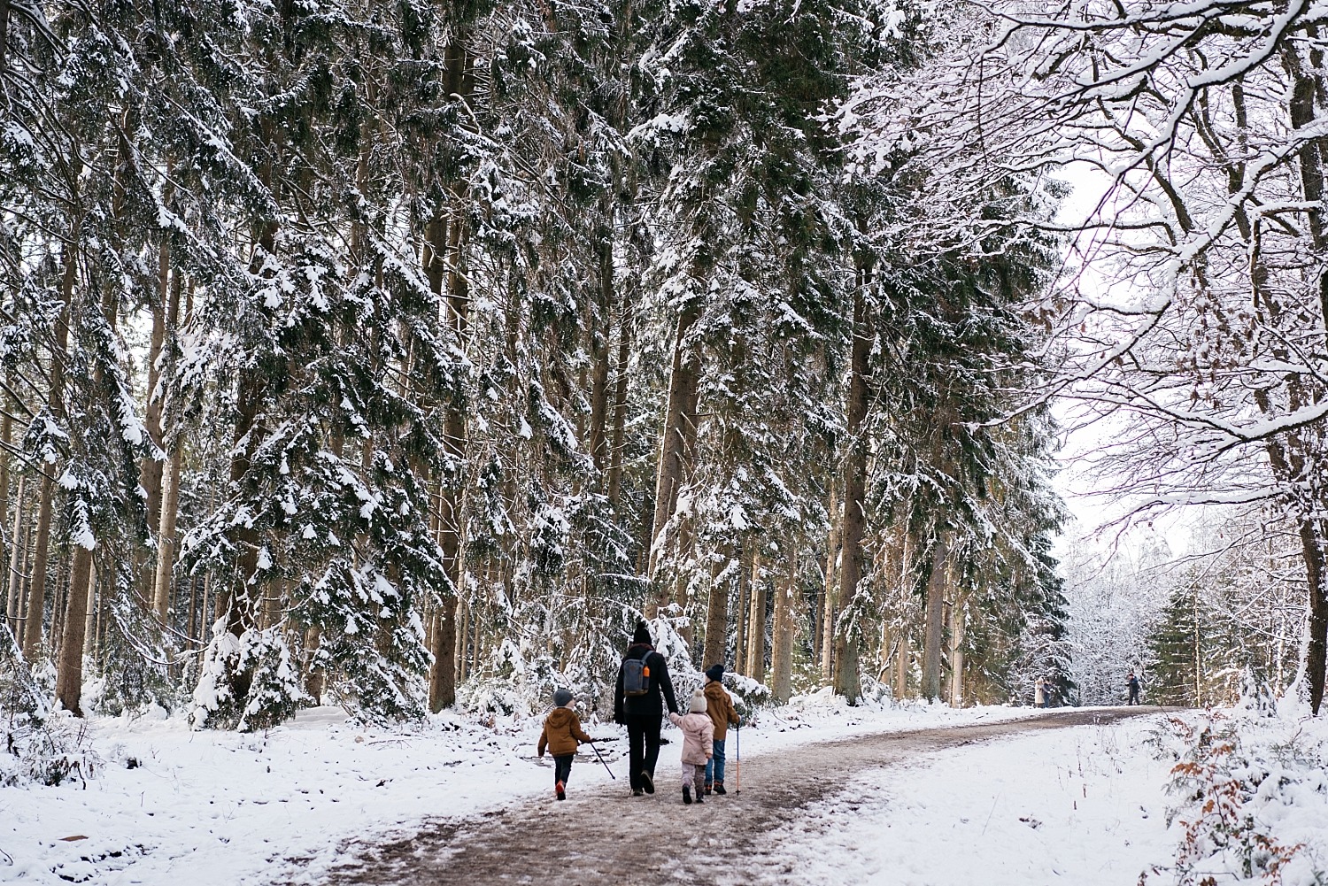 Cantons de l'est lac eupen randonnée neige Belgique barrage vesdre forêt hertogenwald