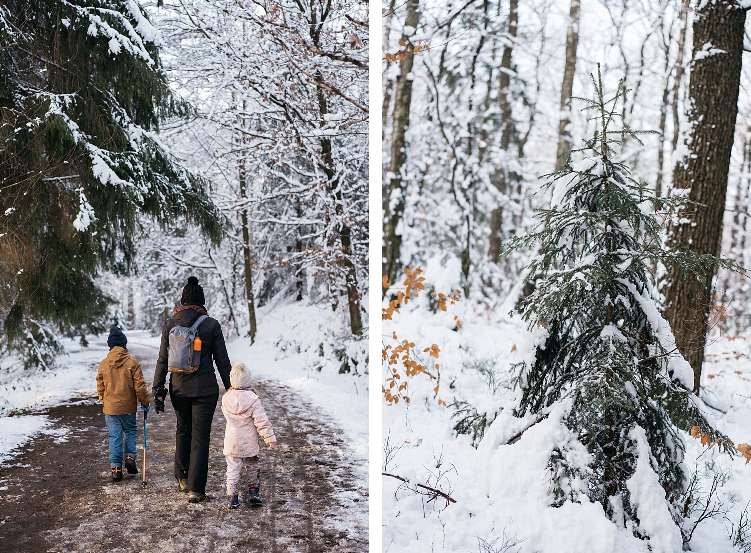 Cantons de l'est lac eupen randonnée neige Belgique barrage vesdre forêt hertogenwald