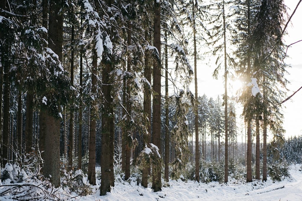 Cantons de l'est lac eupen randonnée neige Belgique barrage vesdre forêt hertogenwald