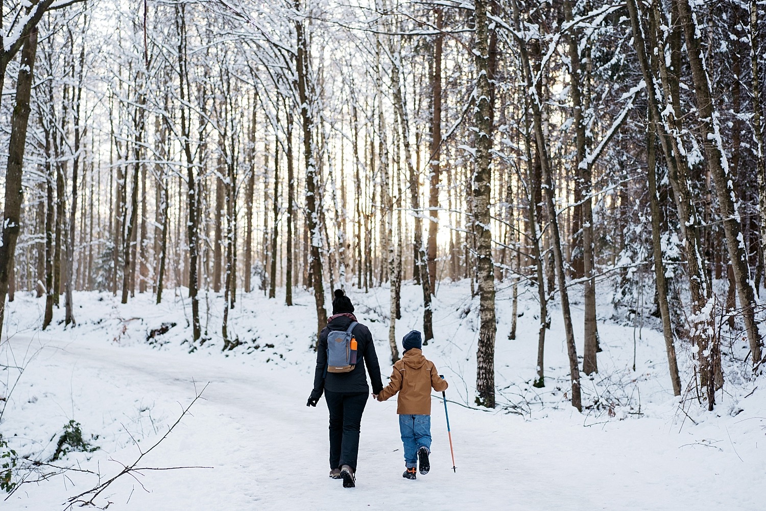 Cantons de l'est lac eupen randonnée neige Belgique barrage vesdre forêt hertogenwald