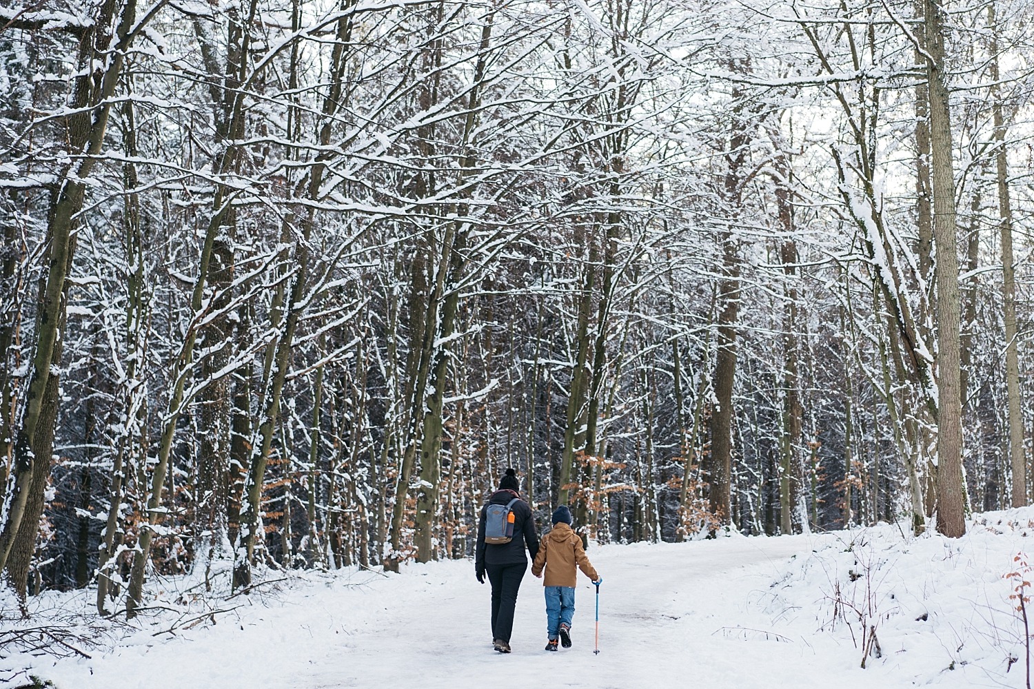 Cantons de l'est lac eupen randonnée neige Belgique barrage vesdre forêt hertogenwald