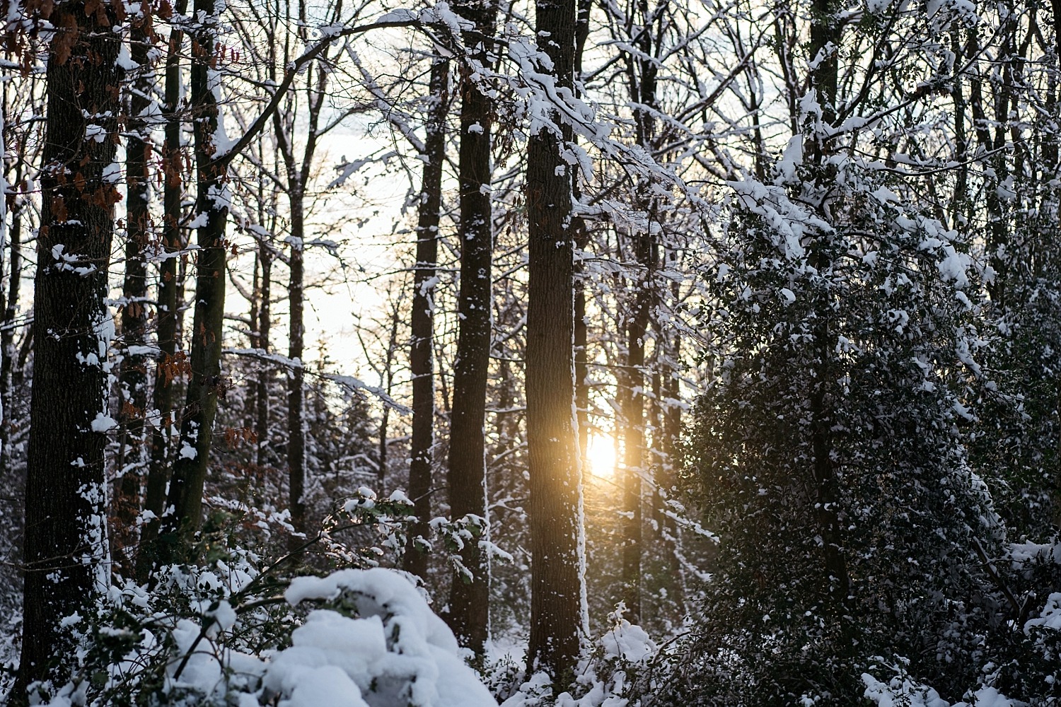 Cantons de l'est lac eupen randonnée neige Belgique barrage vesdre forêt hertogenwald