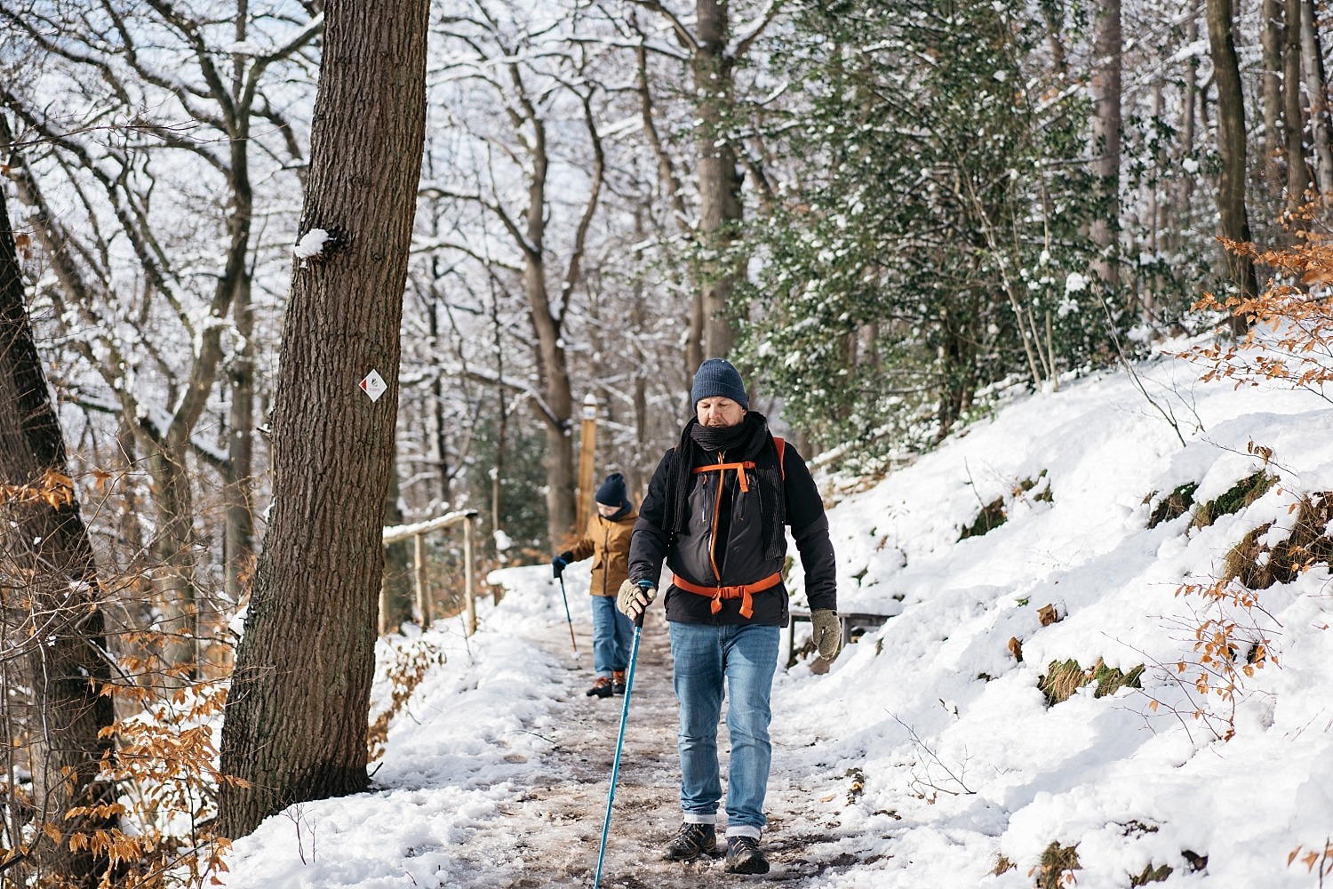 Cantons de l'est lac eupen randonnée neige Belgique barrage vesdre forêt hertogenwald