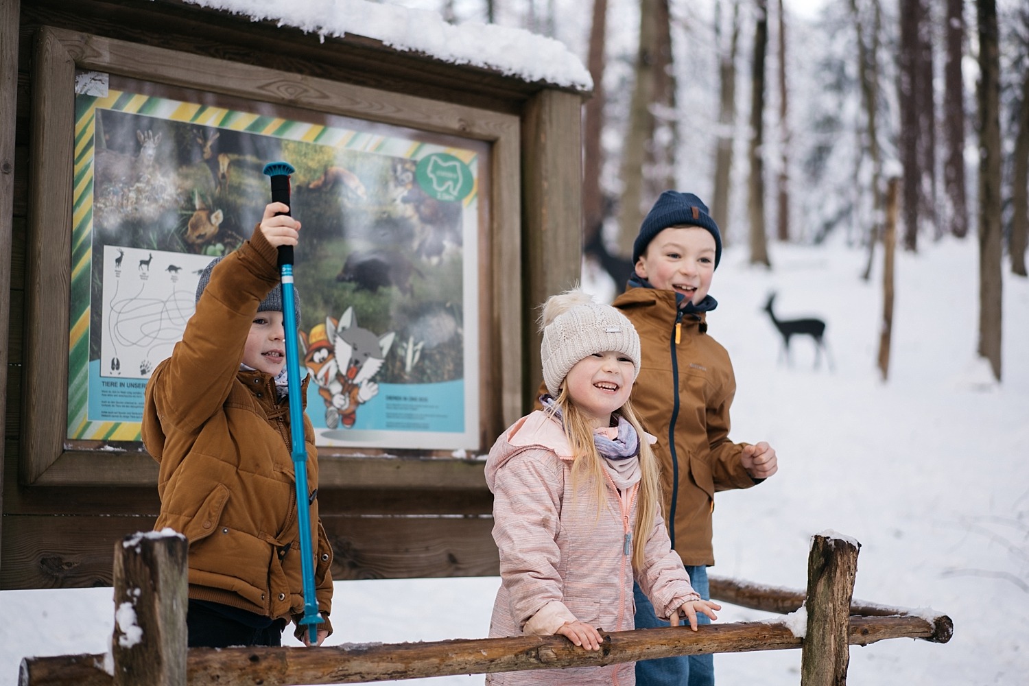 Cantons de l'est lac eupen randonnée neige Belgique barrage vesdre forêt hertogenwald