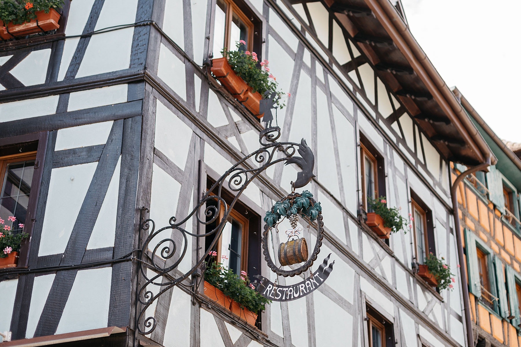 Riquewihr Vosges