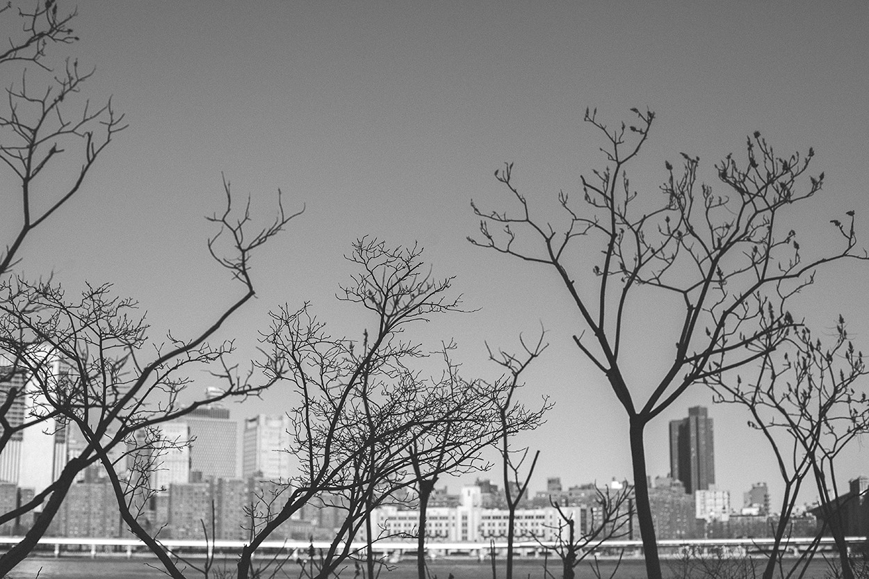 NYC Brooklyn bridge manhattan 