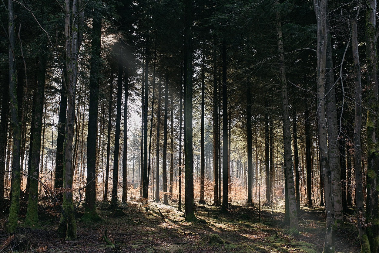 Center parcs trois forêts 