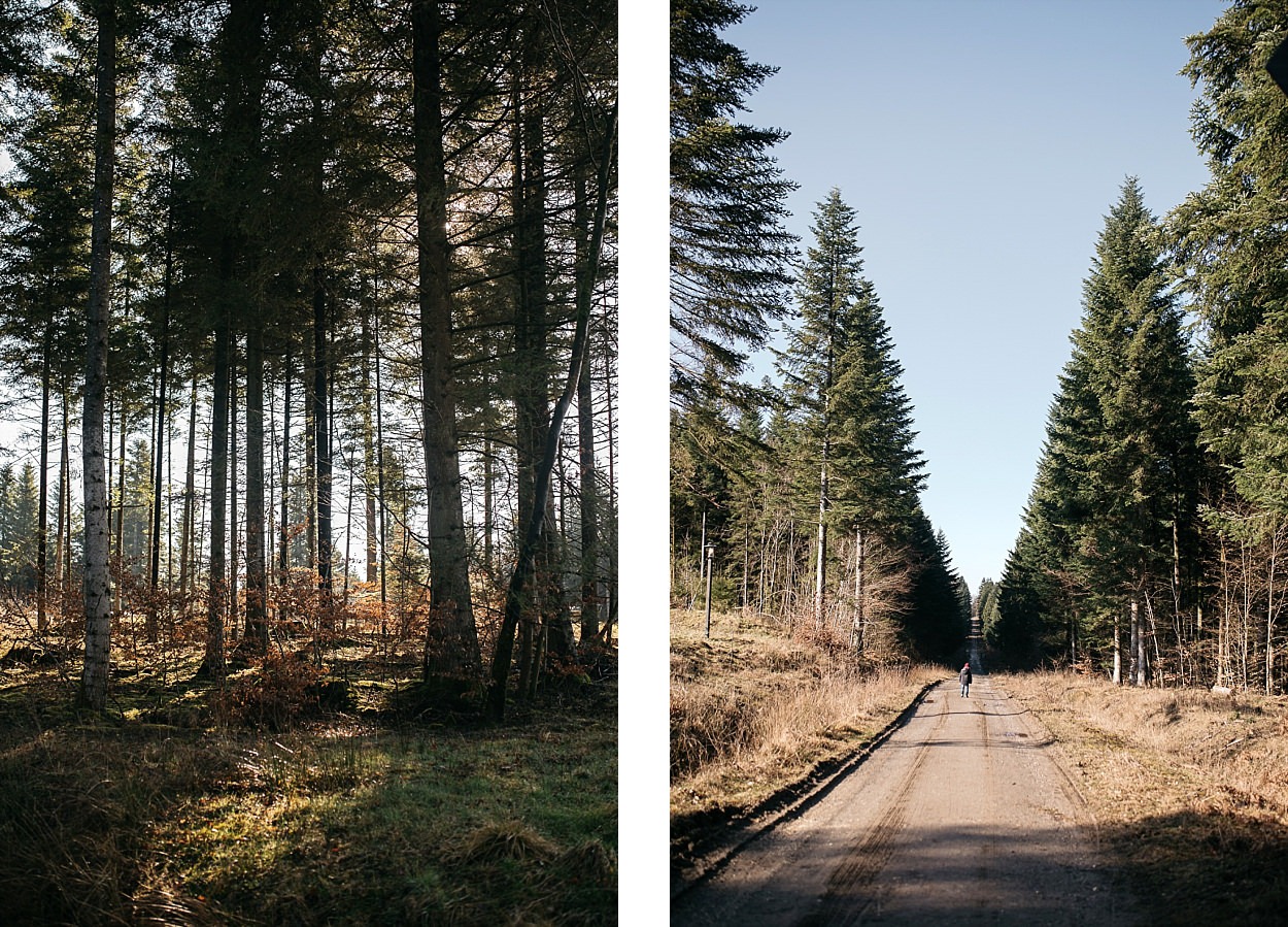 Center parcs trois forêts 