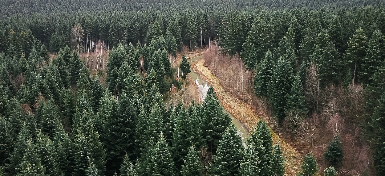 Center parcs trois forêts 