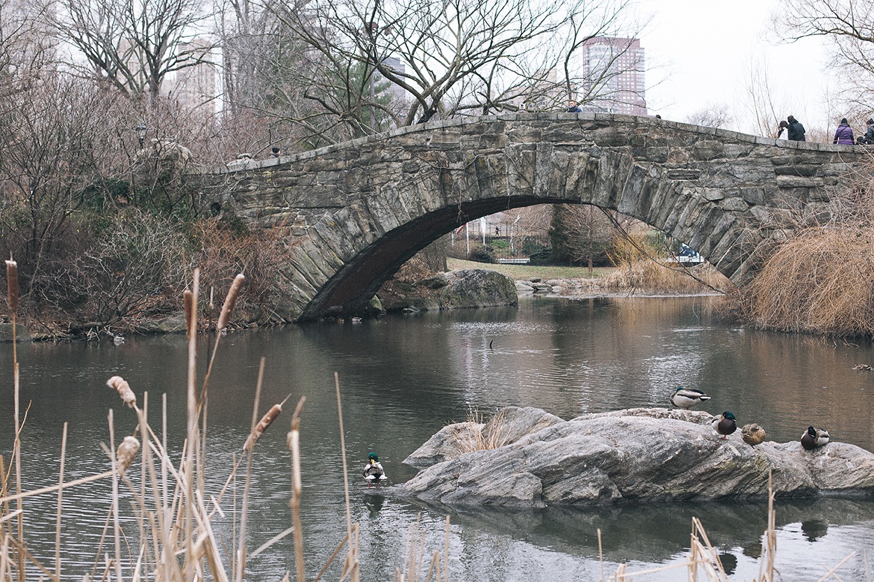 NYC midtown Manhattan Central park