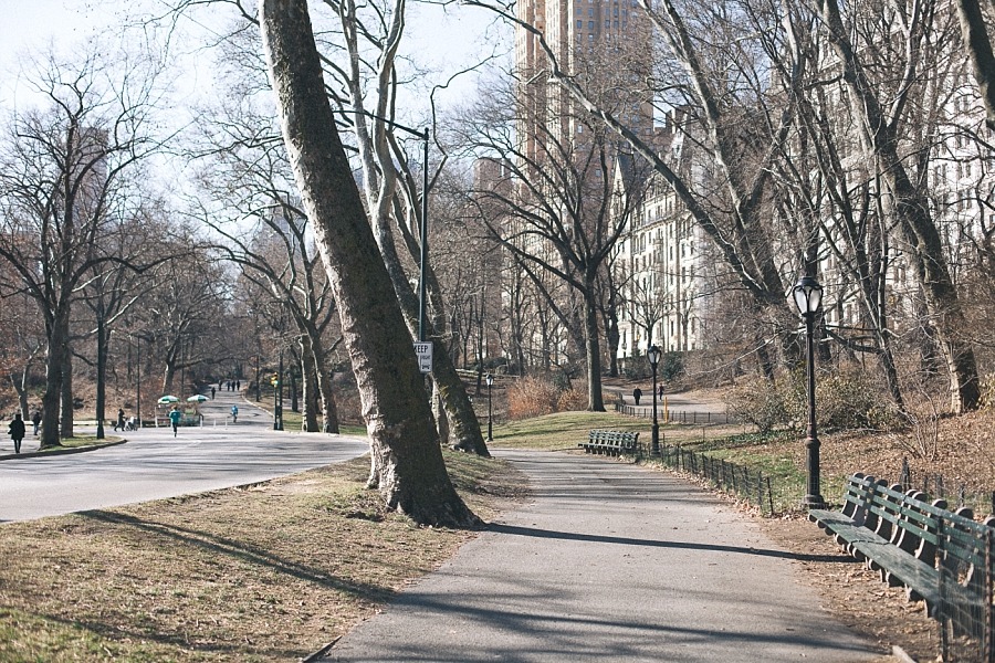 new york nyc Manhattan central park 