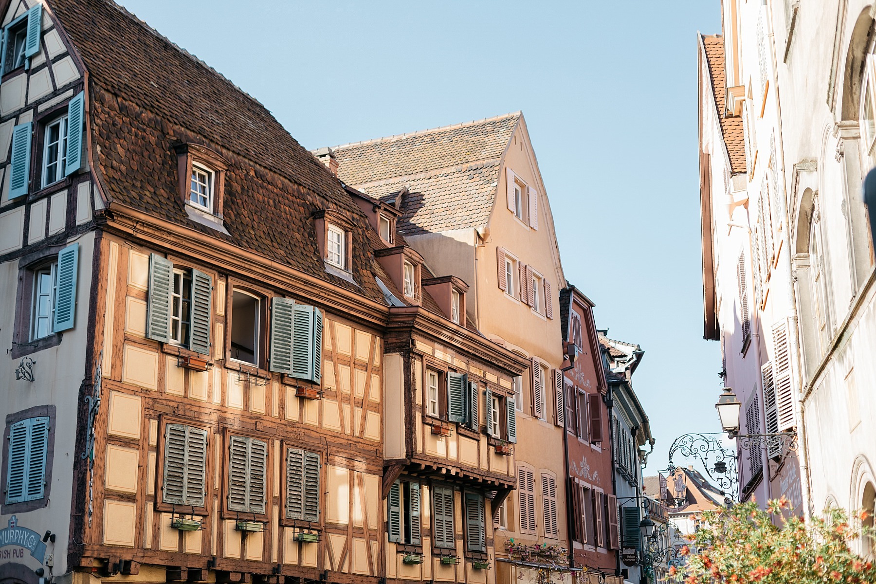 Colmar Vosges