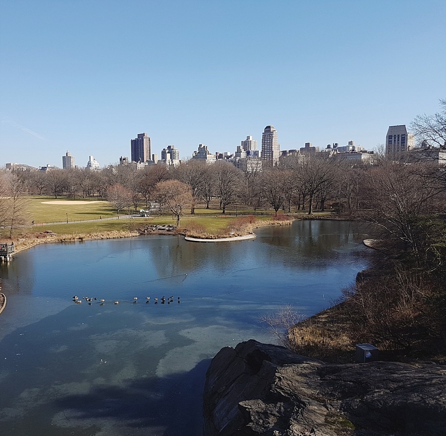 new york nyc Manhattan central park harlem