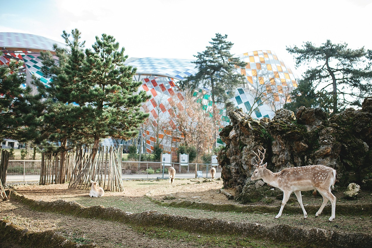 Séjour amoureux à Paris Hôtel la Lanterne jardin acclimatation 