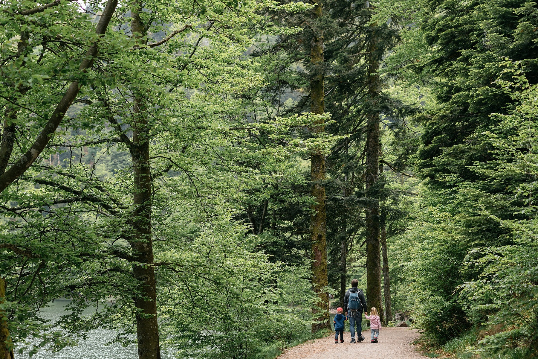 lac des corbeaux vosges