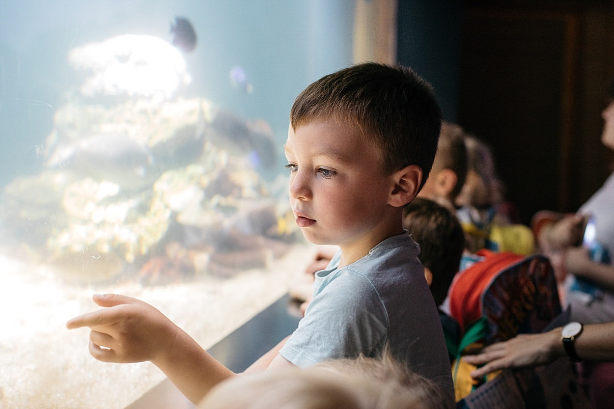 Nausicaa aquarium Boulogne sur mer France