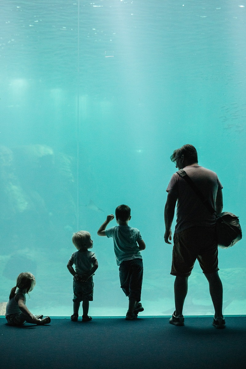 Nausicaa aquarium Boulogne sur mer France