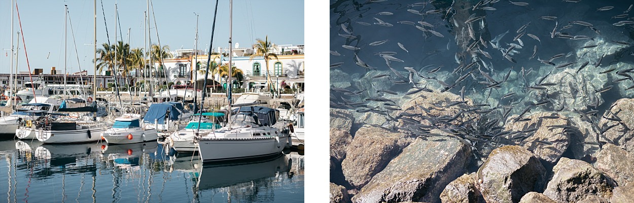 Gran Canaria, l'île des grandes aventures 356