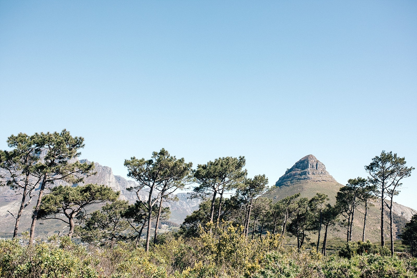 Cape Town afrique du sud Signal hill