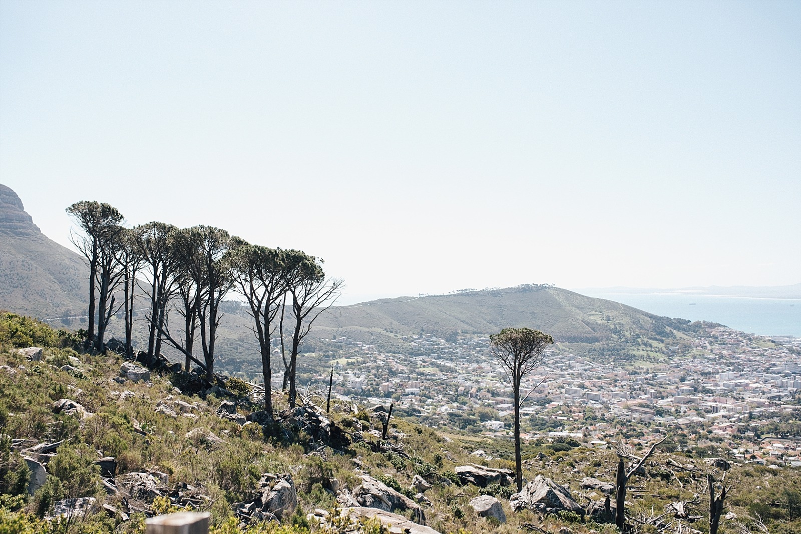 Cape Town afrique du sud Signal hill