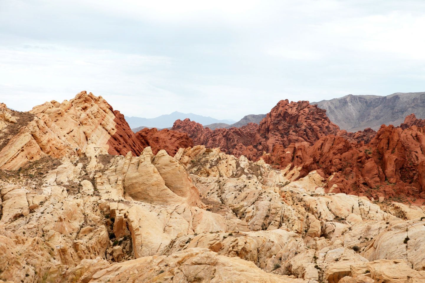 canyons américains valley of fire