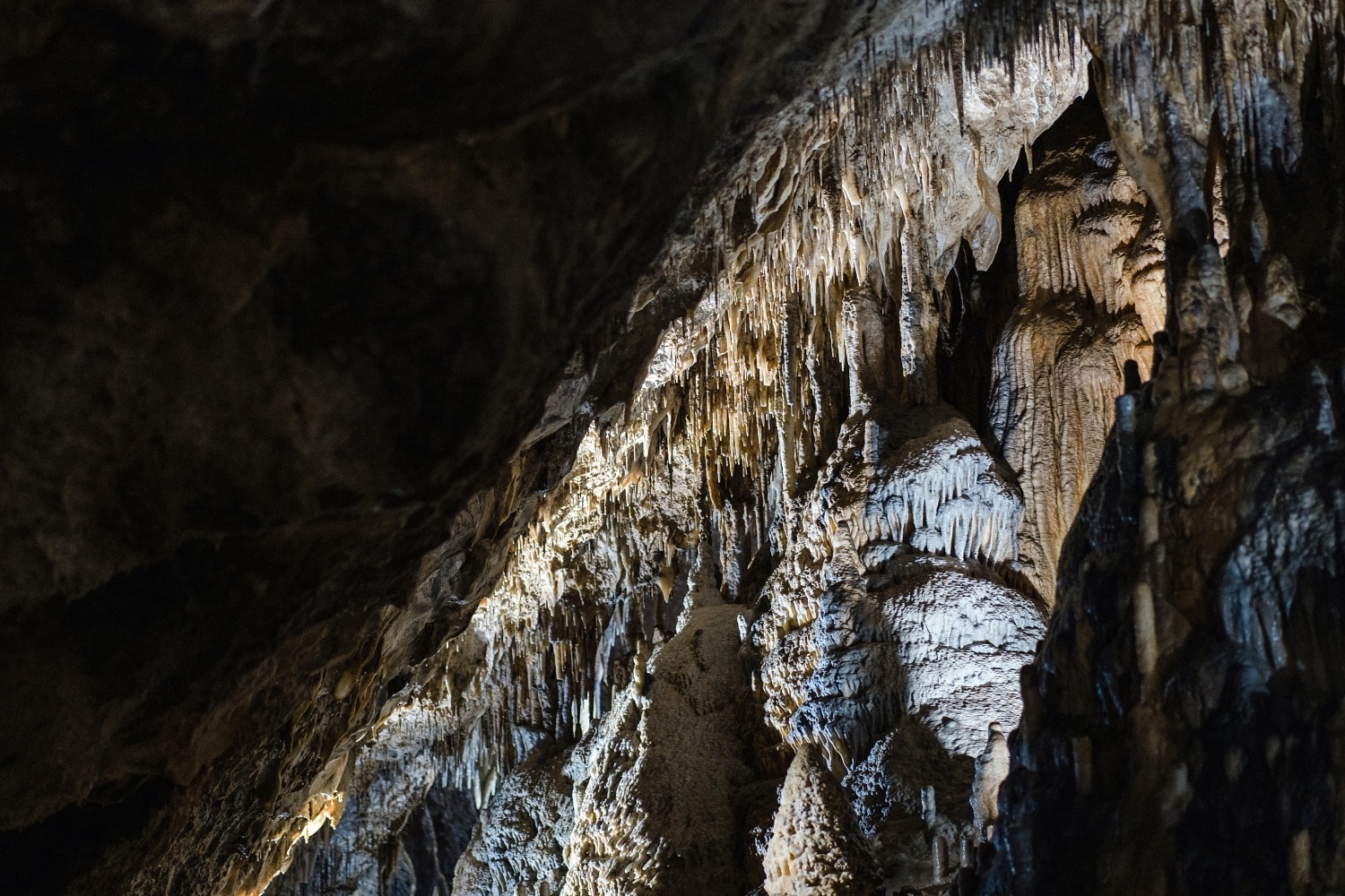 Domaine des grottes de Han Belgique parc animalier excursion famille enfant Province de Namur