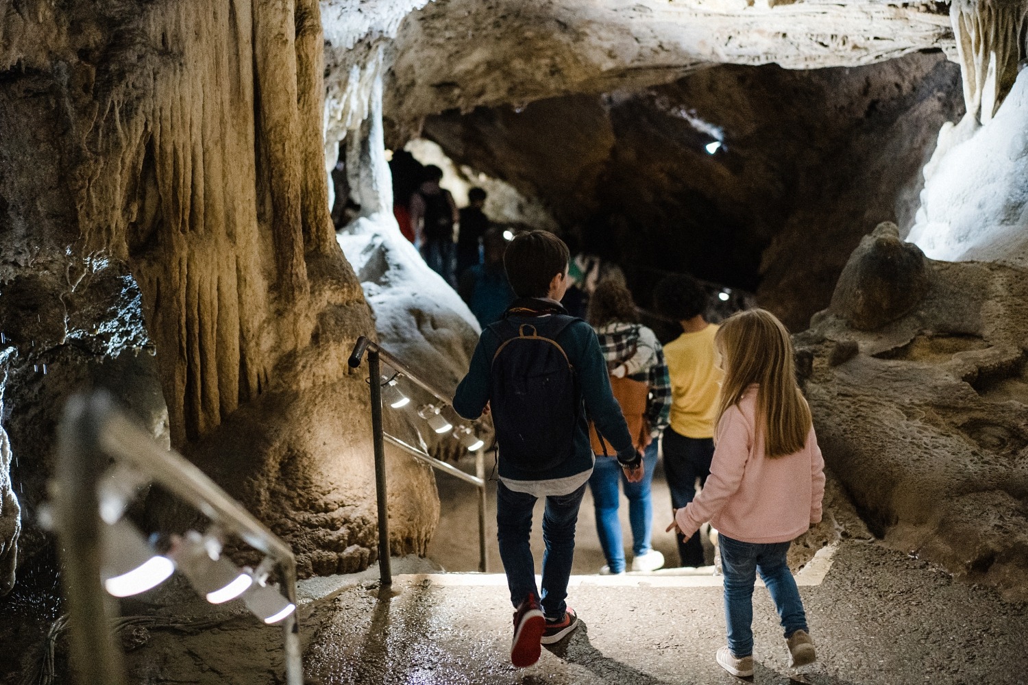 Domaine des grottes de Han Belgique parc animalier excursion famille enfant Province de Namur