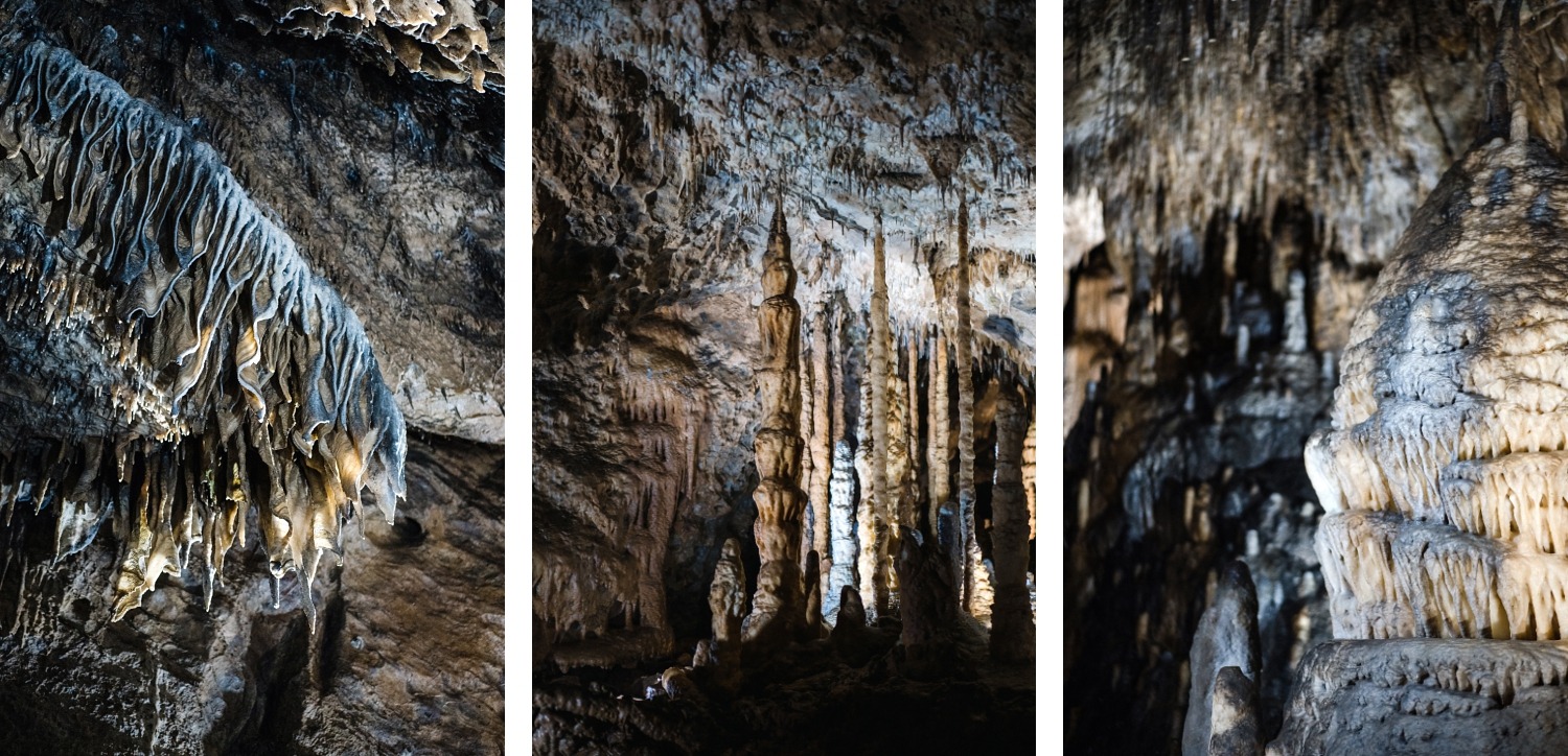Domaine des grottes de Han Belgique parc animalier excursion famille enfant Province de Namur