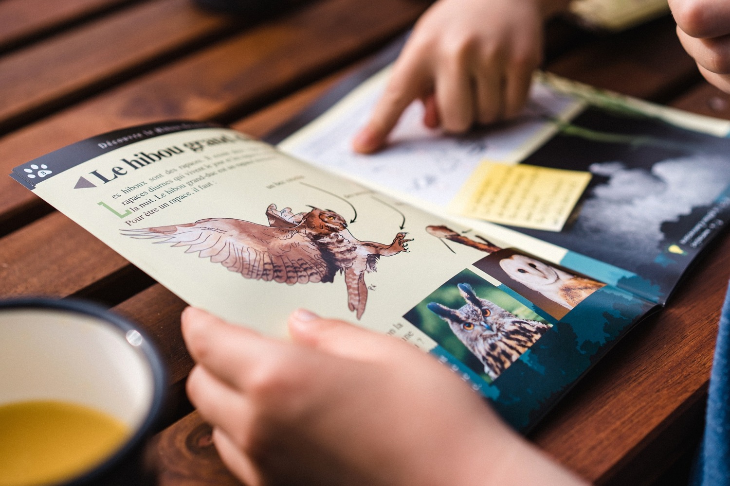 Glamping Cocoon village Grottes de Han camping belgique famille séjour parc animalier 