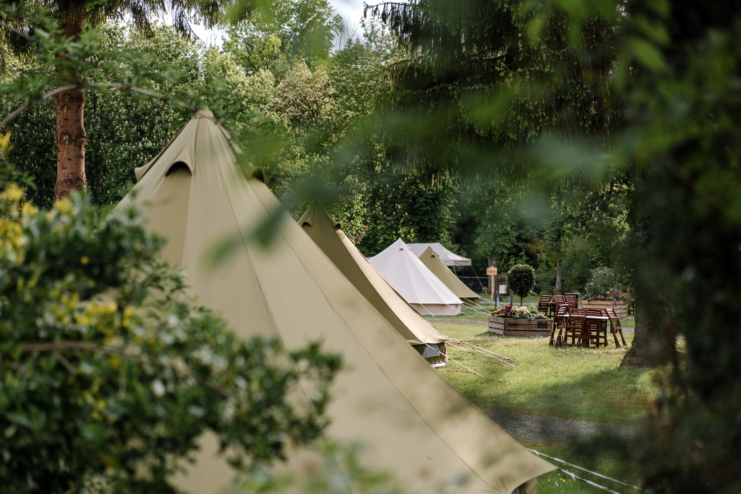 Glamping Cocoon village Grottes de Han camping belgique famille séjour parc animalier 