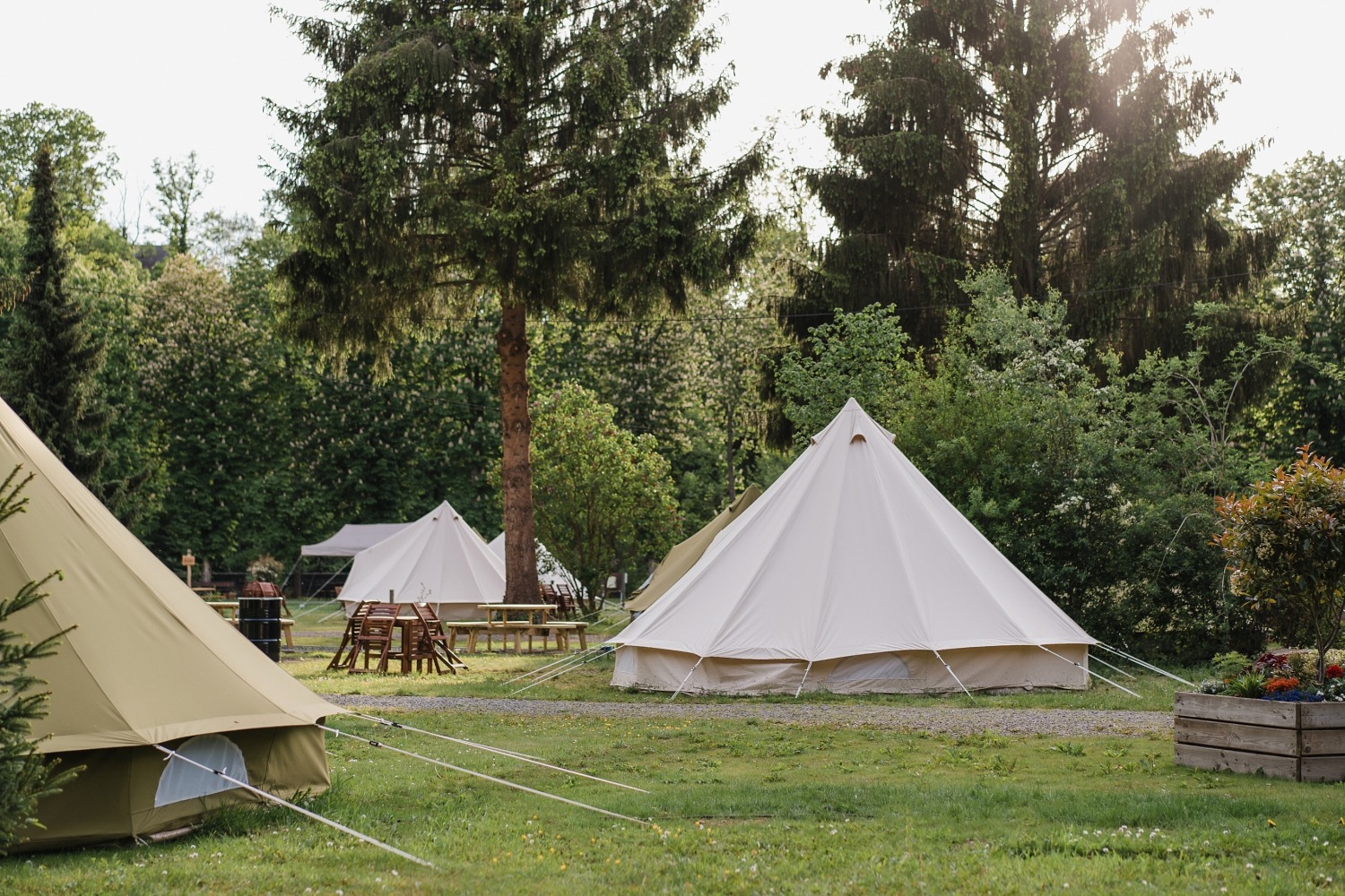 Glamping Cocoon village Grottes de Han camping belgique famille séjour parc animalier 