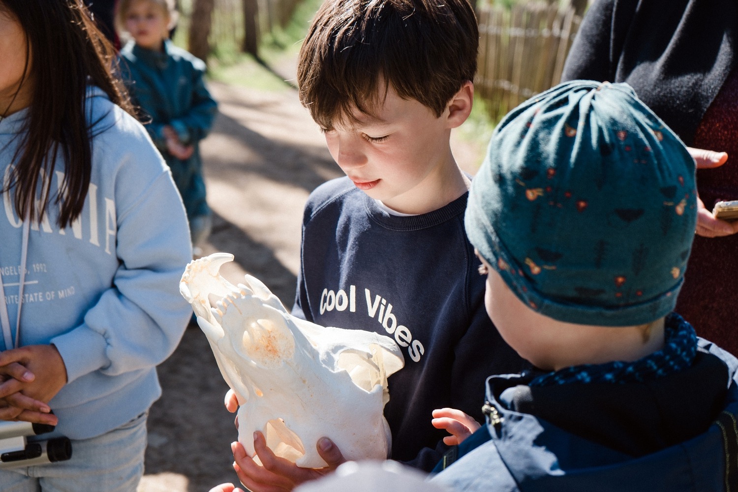 Domaine des grottes de Han Belgique parc animalier excursion famille enfant Province de Namur Histoire d'ours 