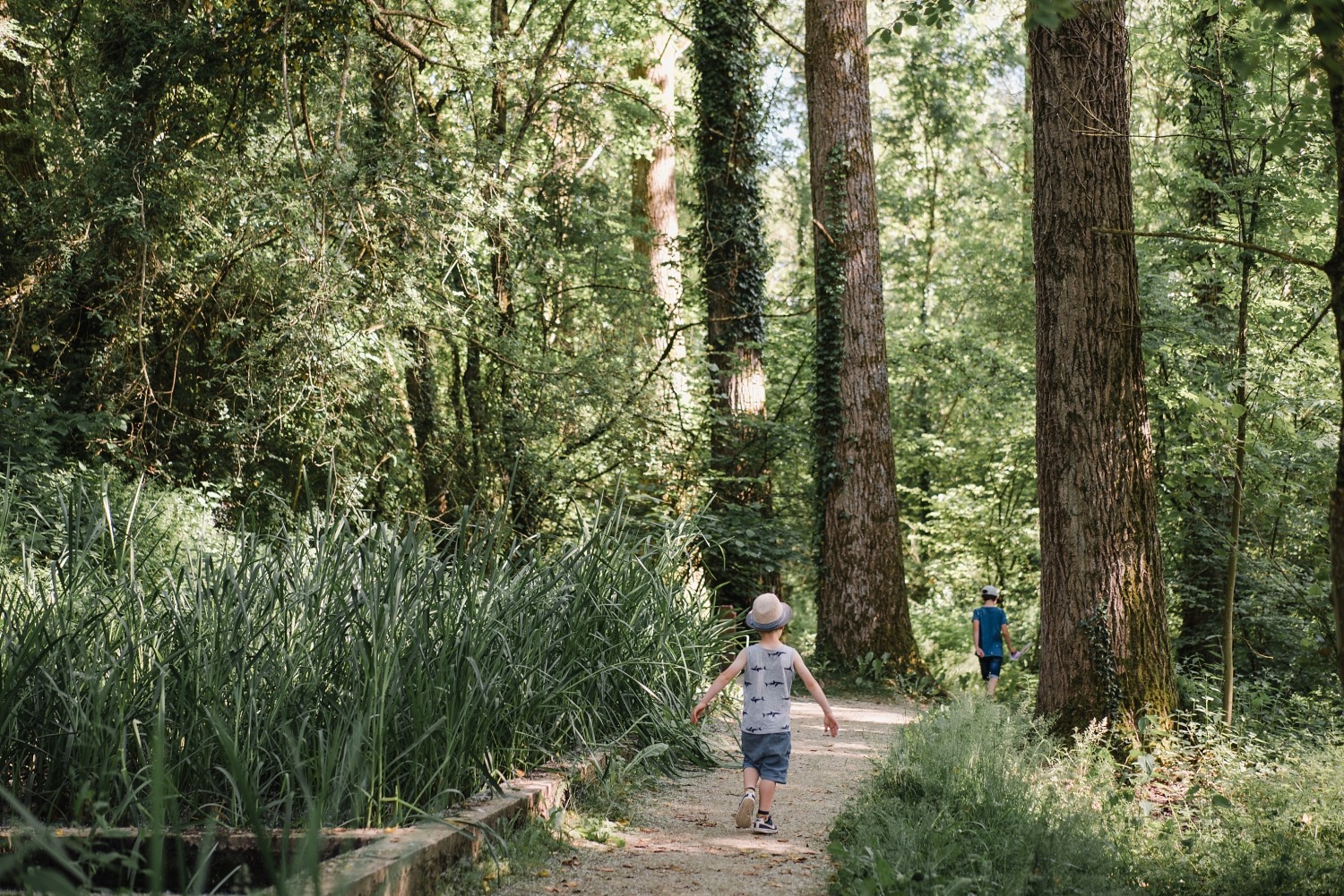 Lac de Bambois Wallonie Province de Namur Belgique Journée en famille 