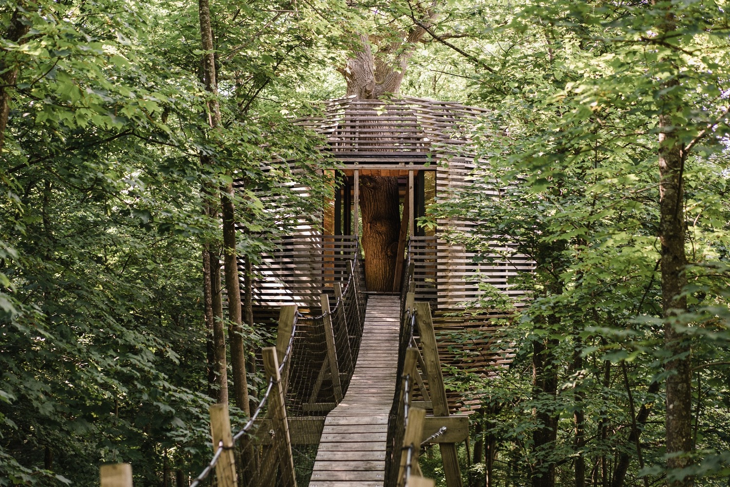 Coucoo cabanes grands chênes Oise Château de Raray golf séjour insolite France spa 