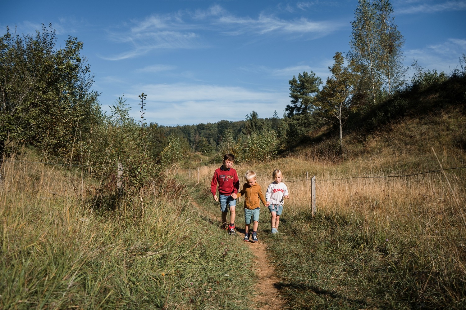 Réserve naturelle Rayond mayne Gaume Torgny promenade Belgique Province Luxembourg 