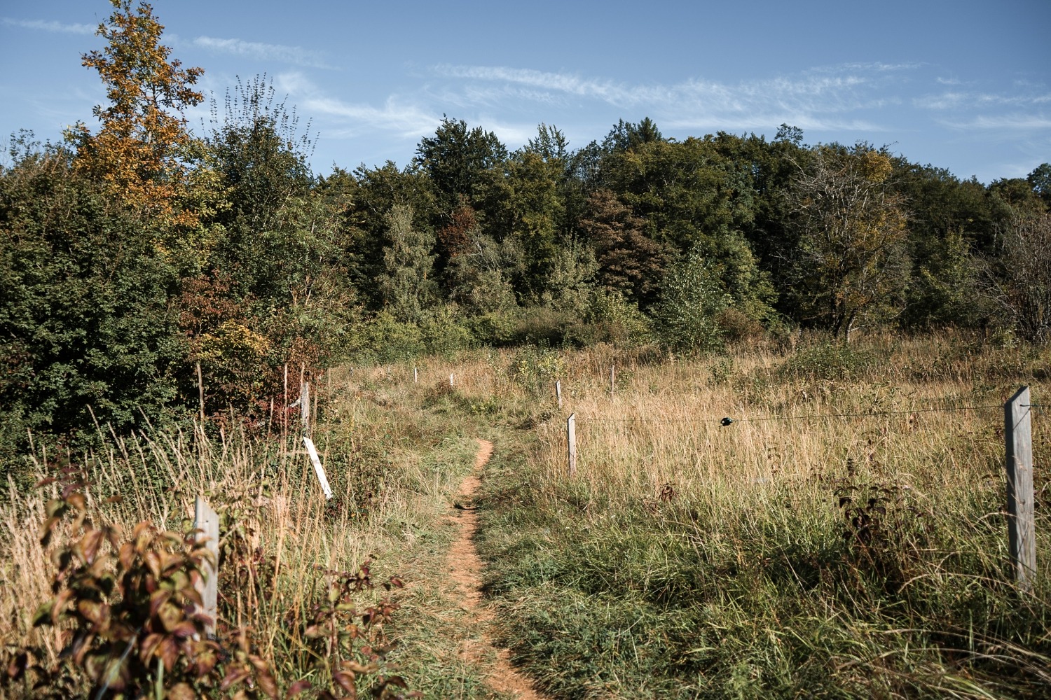 Réserve naturelle Rayond mayne Gaume Torgny promenade Belgique Province Luxembourg 