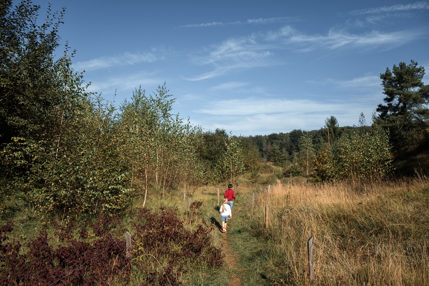 Réserve naturelle Rayond mayne Gaume Torgny promenade Belgique Province Luxembourg 