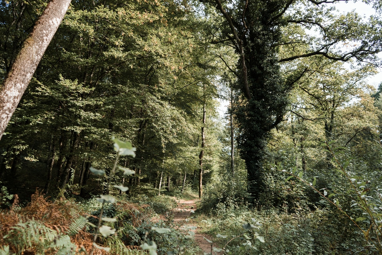 Sentier des songes Virton Gaume Wallonie Belgique promenade famille 