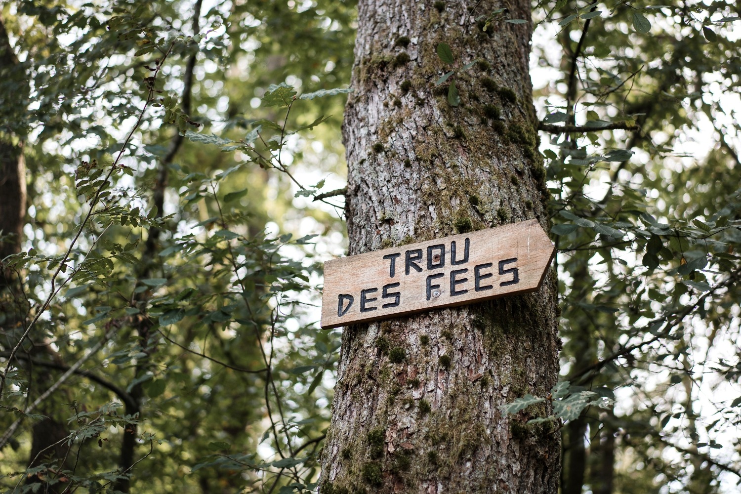 trou des fées Virton Gaume Wallonie Belgique promenade famille insolite forêt province luxembourg 