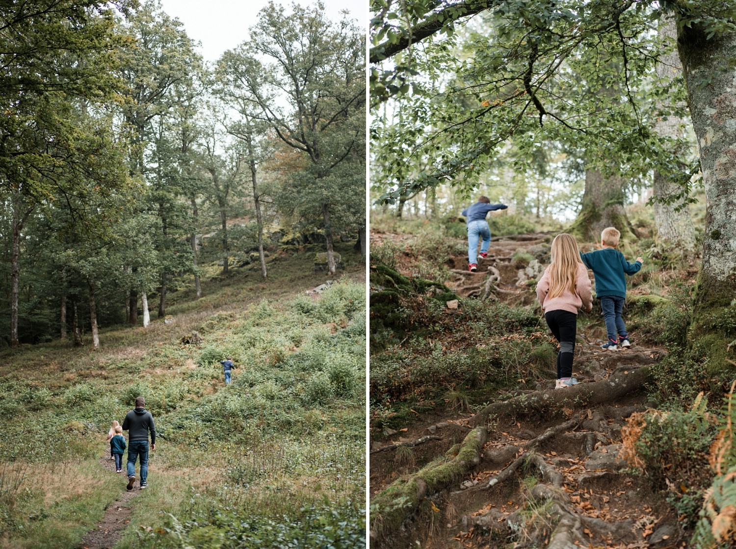 Luna & les gardiens des forêts Florenville application Totemus chasse au trésor Gaume Forêt de Muno Roche à l'appel Belgique Wallonie 