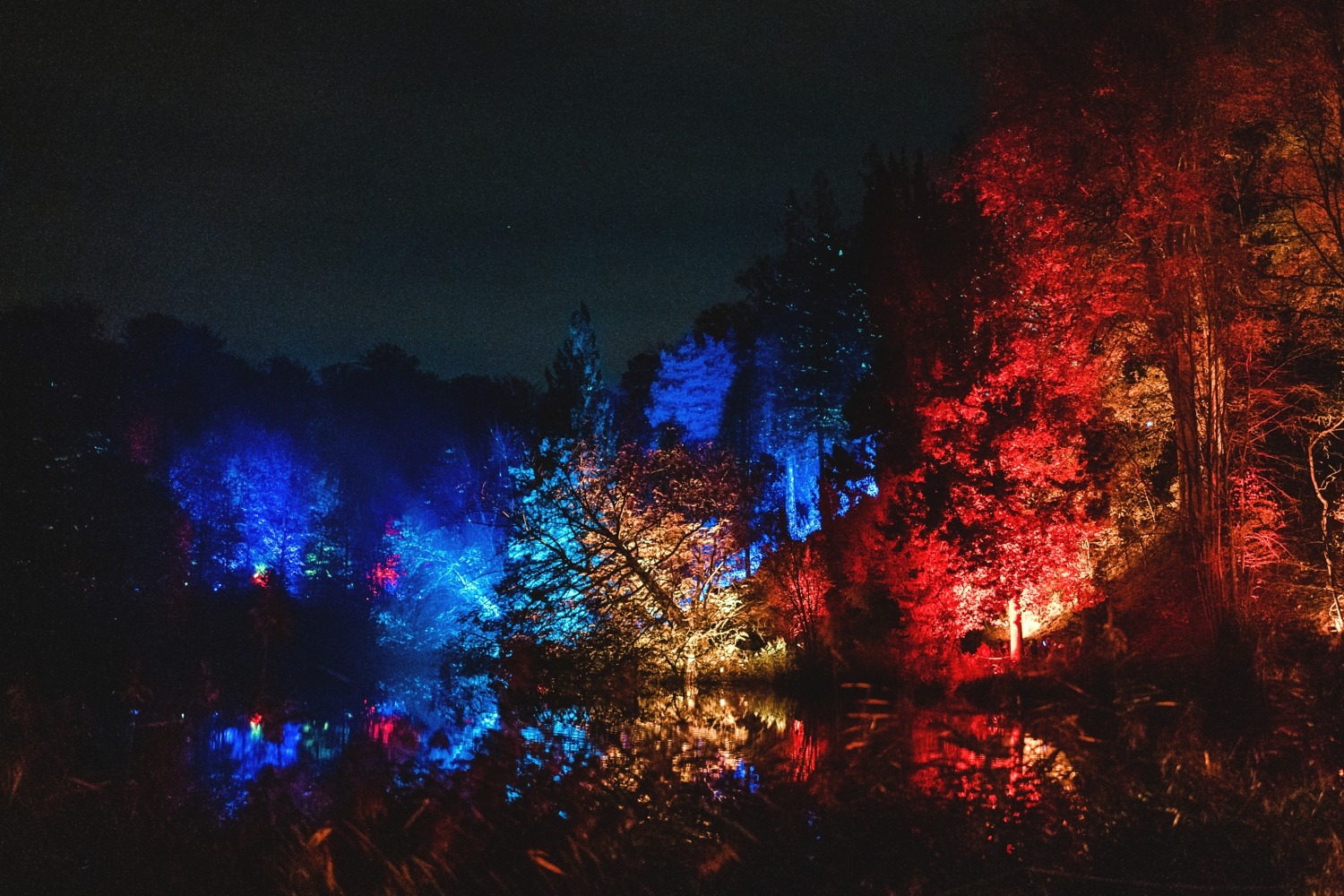 Lanterna magica Wallonie Château de la Hulpe Belgique promenade nocturne famille spectacle lumières 