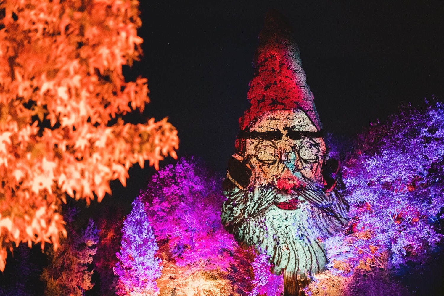 Lanterna Magica, promenade nocturne au château de la Hulpe - Boussole  Magique