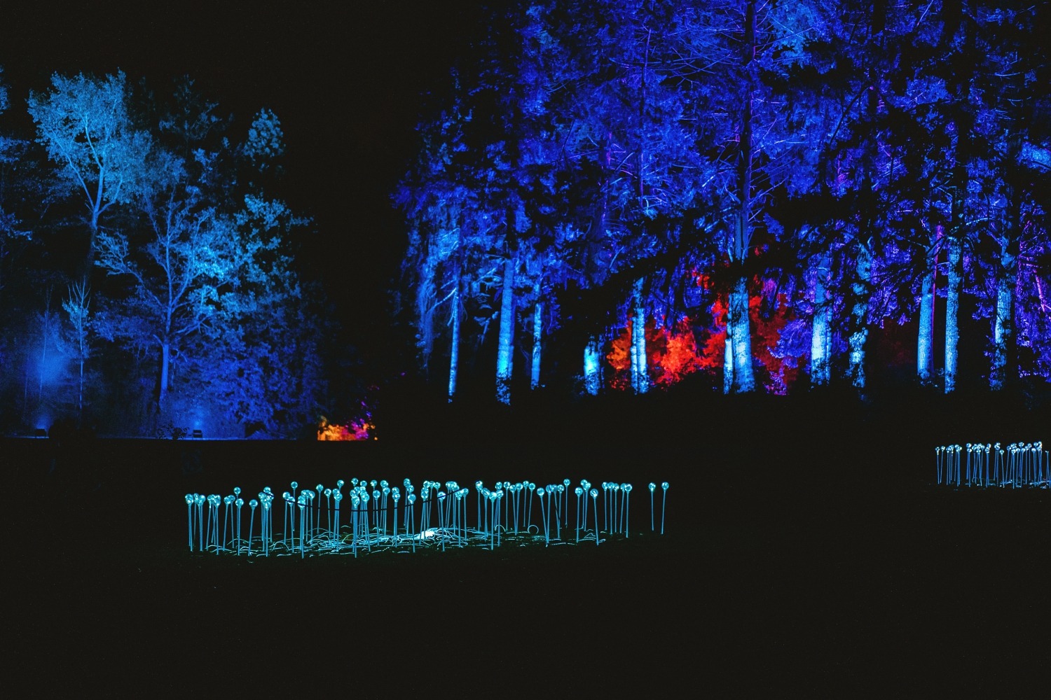 Lanterna magica Wallonie Château de la Hulpe Belgique promenade nocturne famille spectacle lumières 