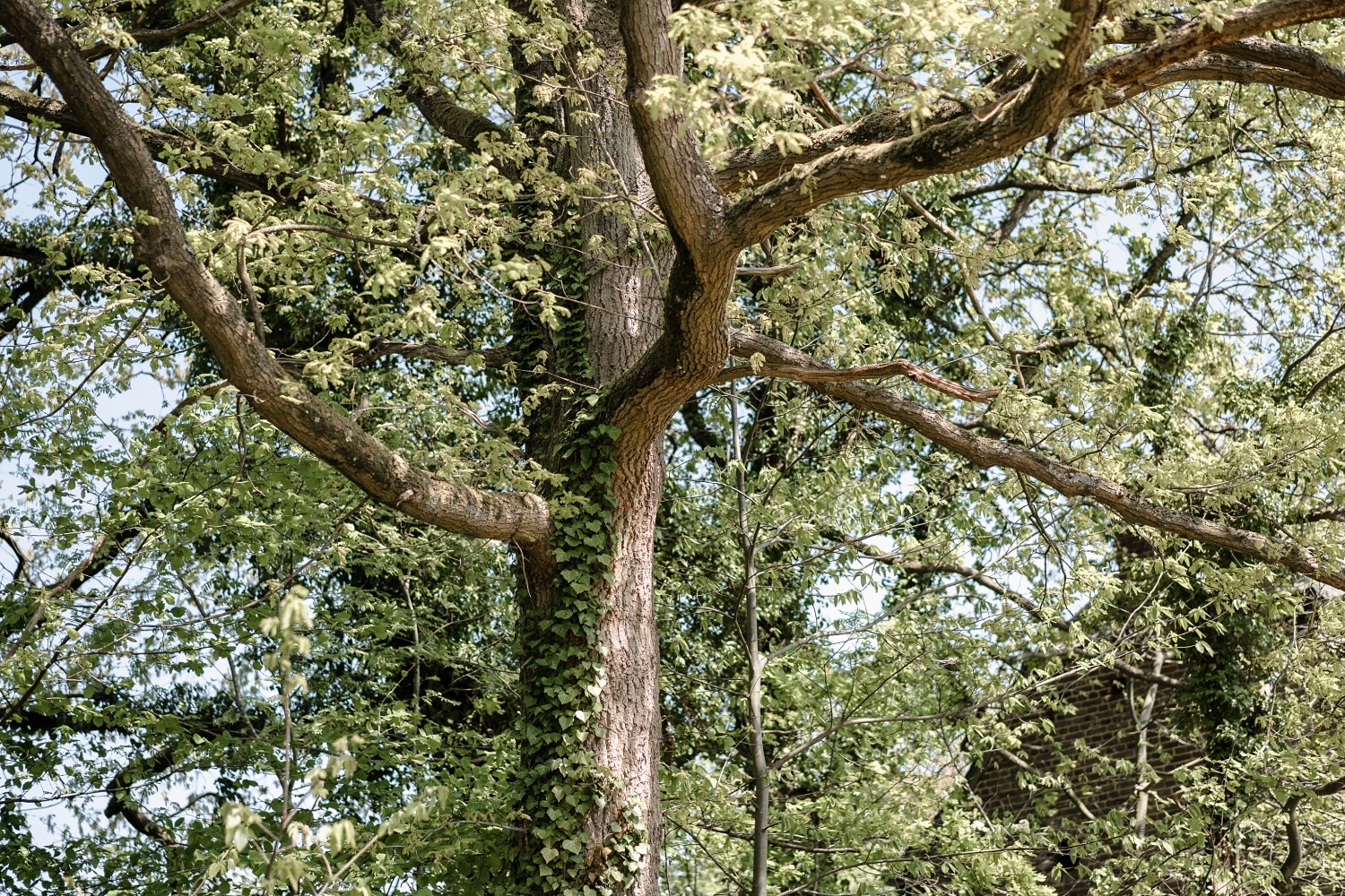 Le domaine de Bokrijk, un voyage à travers le temps 2