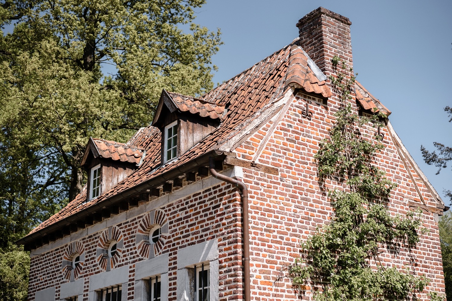 Domaine de Bokrijk Genk Belgique Excursion en famille Flandres 